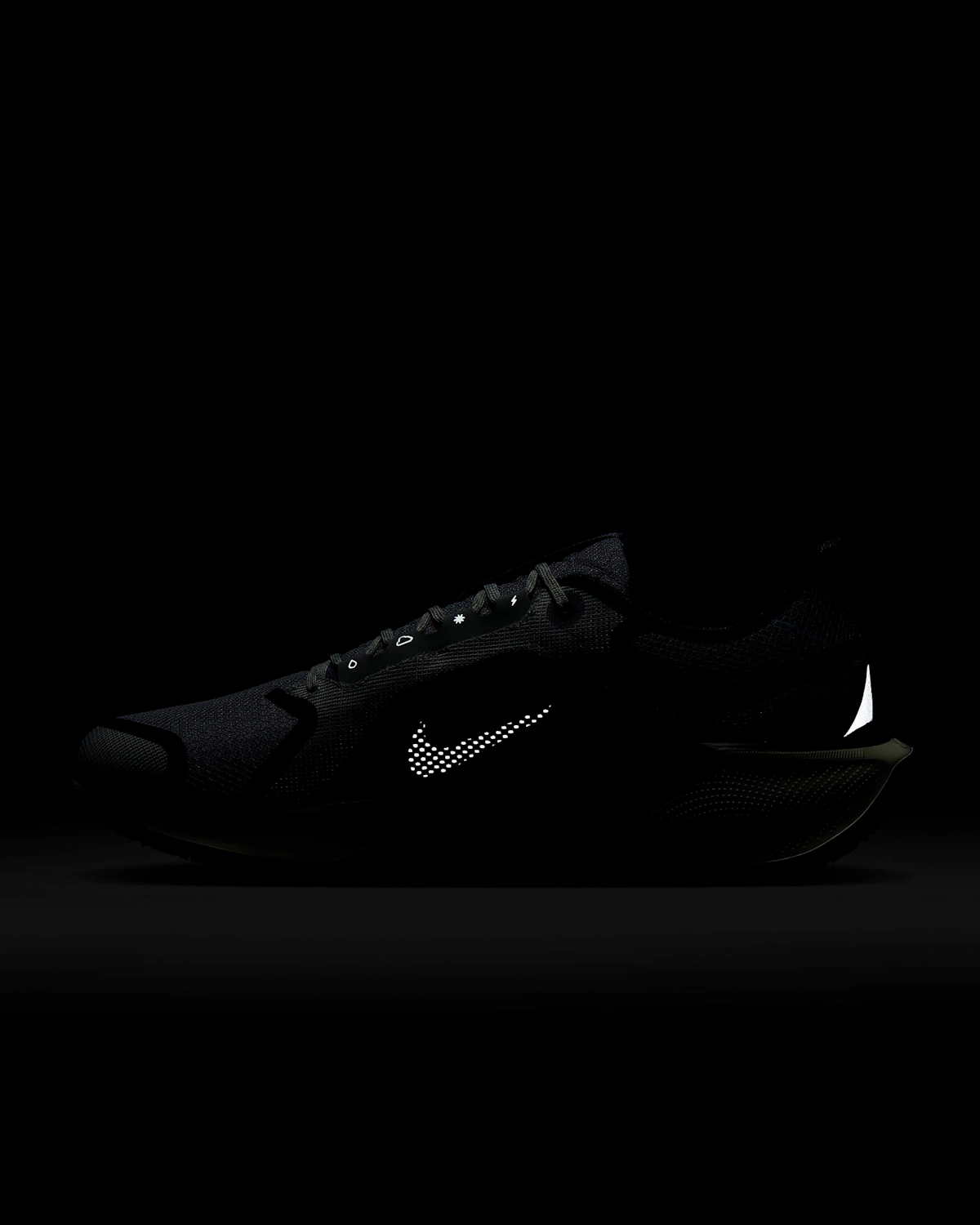 Nike Pegasus 41 GORE-TEX 'Light Pumice Burgundy'