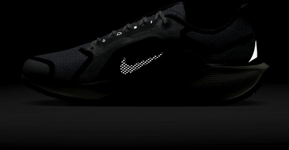 Nike Pegasus 41 GORE-TEX '浅浮石勃艮第' 女鞋 FQ1356-003 4