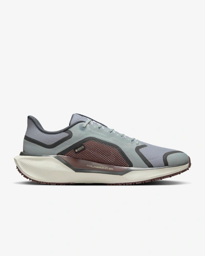 Nike Pegasus 41 GORE-TEX 'Light Pumice Burgundy'