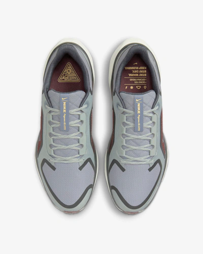 Nike Pegasus 41 GORE-TEX 'Light Pumice Burgundy'