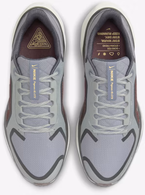 Nike Pegasus 41 GORE-TEX 'Light Pumice Burgundy' Lelaki Kasut Larian FQ1356-003 Shop Nike Pegasus 41 GORE-TEX 'Light Pumice Burgundy' Lelaki Kasut Larian FQ1356-003