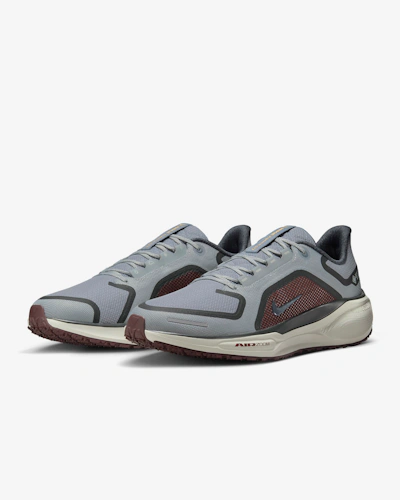 Nike Pegasus 41 GORE-TEX 'Light Pumice Burgundy'