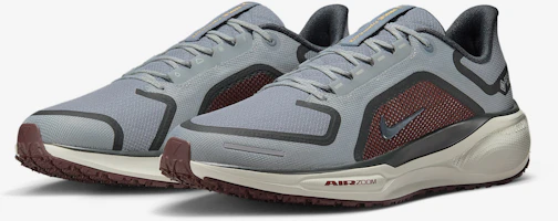 Details for Nike Pegasus 41 GORE-TEX「輕浮石勃艮地紅」 FQ1356-003