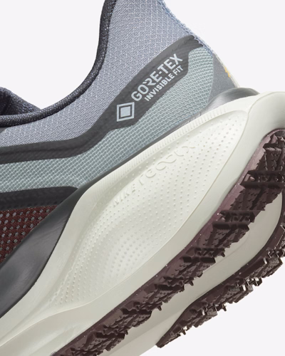 Nike Pegasus 41 GORE-TEX 'Light Pumice Burgundy'