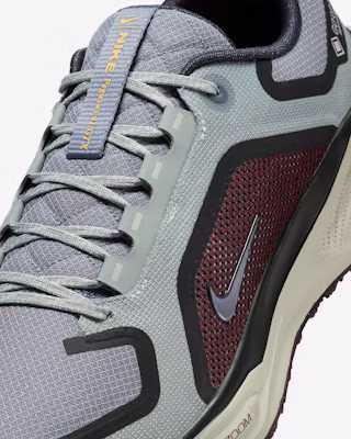 Nike Pegasus 41 GORE-TEX「輕浮石勃艮地紅」 FQ1356-003 Cheap Nike Pegasus 41 GORE-TEX「輕浮石勃艮地紅」 FQ1356-003