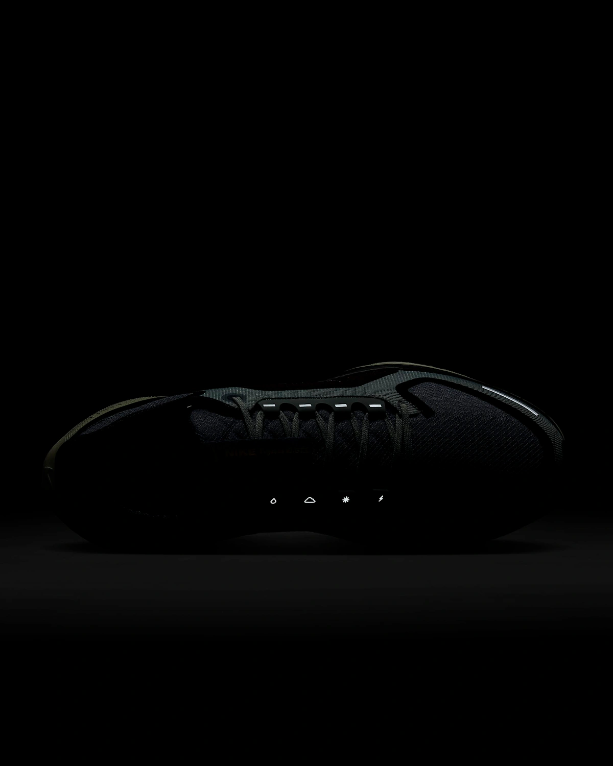 Nike Pegasus 41 GORE-TEX 'Light Pumice Burgundy'