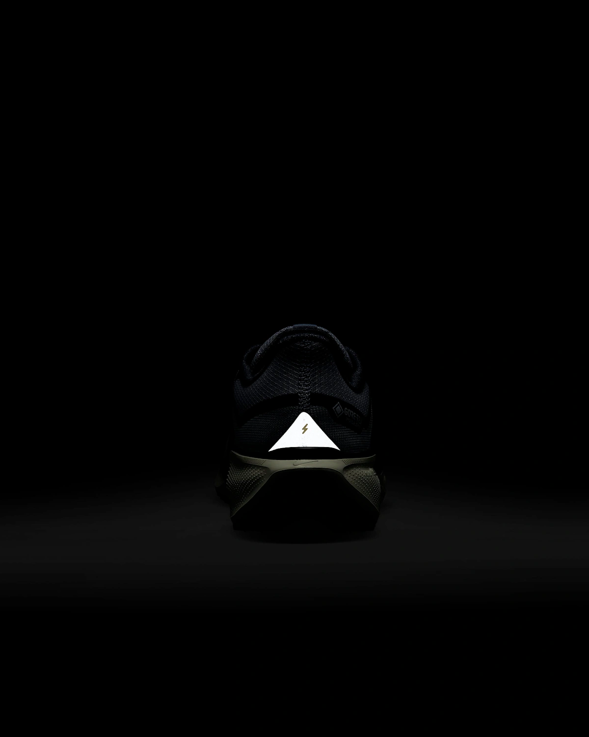 Nike Pegasus 41 GORE-TEX 'Light Pumice Burgundy'