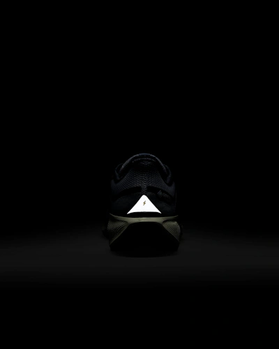 Nike Pegasus 41 GORE-TEX 'Light Pumice Burgundy'