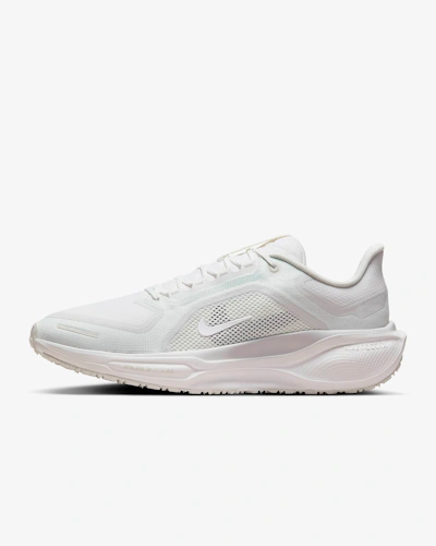 Nike Pegasus 41 GORE-TEX 'Summit White Photon'