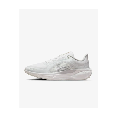 Nike Pegasus 41 GORE-TEX 'Summit White Photon'