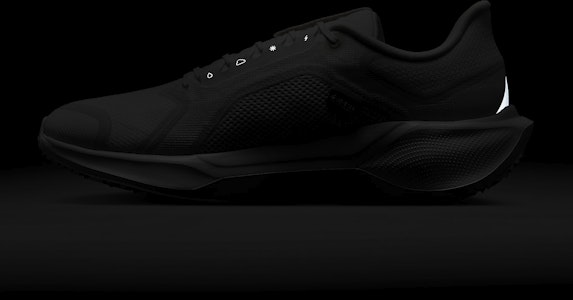 나이키 페가수스 41 고어텍스 '서밋 화이트 포톤' FQ1356-101 4