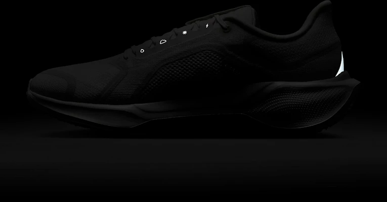 Nike Pegasus 41 GORE-TEX '高峰白光子' FQ1356-101 5
