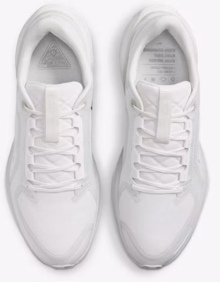 耐克飞马41 GORE-TEX '顶峰白光子' FQ1356-101 Shop 耐克飞马41 GORE-TEX '顶峰白光子' FQ1356-101