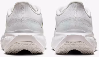 Sizing Nike Pegasus 41 GORE-TEX ''Summit White Photon'' Herren Laufschuhe FQ1356-101