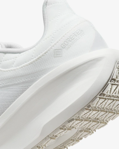 Nike Pegasus 41 GORE-TEX 'Summit White Photon'