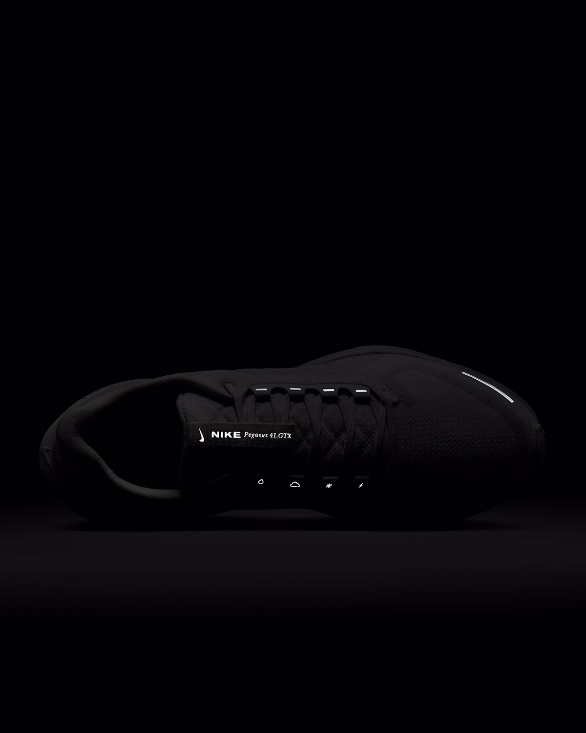 Nike Pegasus 41 GORE-TEX 'Summit White Photon'