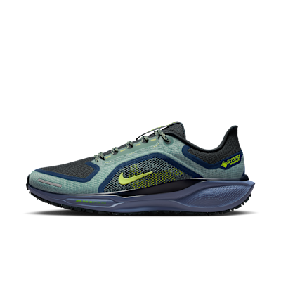 Nike Pegasus 41 GORE-TEX Cannon/Obsidian/Seaweed/Vault FQ1356-006