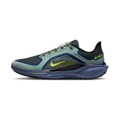 Nike Pegasus 41 GORE-TEX Cannon/Obsidian/Seaweed/Vault