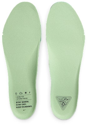 나이키 페가수스 41 고어텍스 캐논/옵시디언/씨위드/볼트 FQ1356-006 2