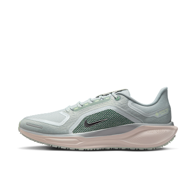 Nike Pegasus 41 GORE-TEX Light Permis/Pure Platinum/Silt Red/Metallic Silver FQ1356-007