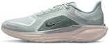 Buy Nike Pegasus 41 GORE-TEX Light Permis/Pure Platinum/Silt Red/Metallic Silver FQ1356-007