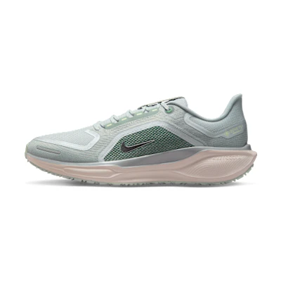 Nike Pegasus 41 GORE-TEX Light Permis/Pure Platinum/Silt Red/Metallic Silver