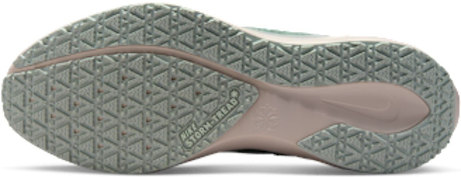 Nike Pegasus 41 GORE-TEX Light Permis/Pure Platinum/Silt Red/Metallic Silver FQ1356-007 Lookbook Nike Pegasus 41 GORE-TEX Light Permis/Pure Platinum/Silt Red/Metallic Silver FQ1356-007
