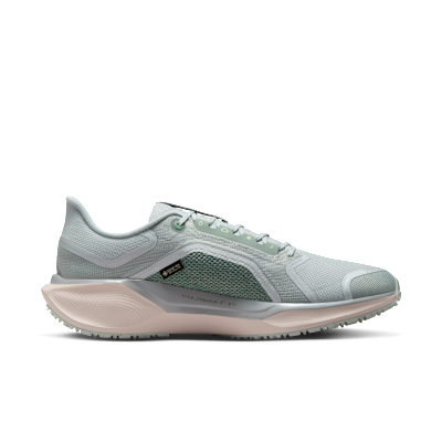Shop Nike Pegasus 41 GORE-TEX Light Permis/Pure Platinum/Silt Red/Metallic Silver FQ1356-007
