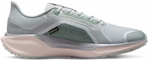 Shop Nike Pegasus 41 GORE-TEX Light Permis/Pure Platinum/Silt Red/Metallic Silver FQ1356-007