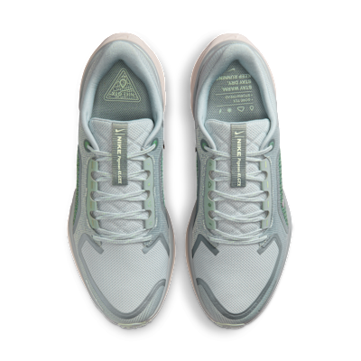 Shop Nike Pegasus 41 GORE-TEX Light Permis/Pure Platinum/Silt Red/Metallic Silver FQ1356-007