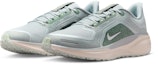Purchase Nike Pegasus 41 GORE-TEX Light Permis/Pure Platinum/Silt Red/Metallic Silver FQ1356-007