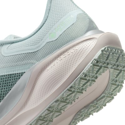 Nike Pegasus 41 GORE-TEX Light Permis/Pure Platinum/Silt Red/Metallic Silver FQ1356-007 1