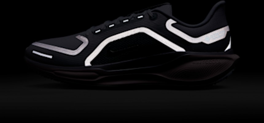 나이키 페가수스 41 고어텍스 라이트 퍼미스/퓨어 플래티넘/실트 레드/메탈릭 실버 FQ1356-007 1