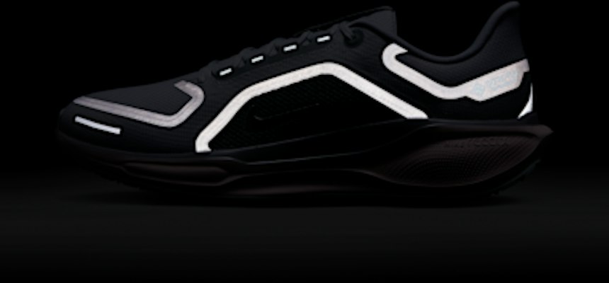 Nike Pegasus 41 GORE-TEX Light Permis/Pure Platinum/Silt Red/Metallic Silver FQ1356-007 2