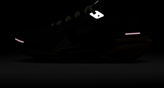 Nike Pegasus 41 高級款 HV4327-299 2