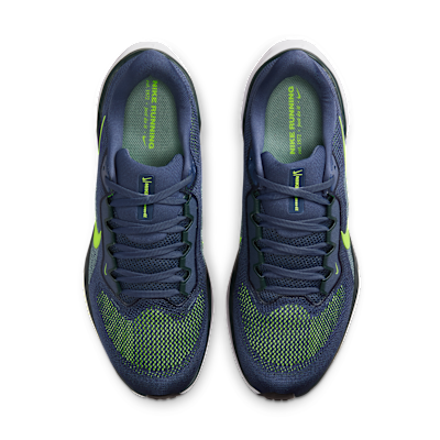 Shop Nike Pegasus 41 Ungu Pasir/Rumpai Laut/Meriam/Kilat FD2722-501