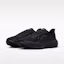 Purchase Nike Pegasus 42 Hitam/Anthracite/Hitam IB1873-003