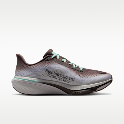 Lookbook Nike Pegasus 42 Ironstone/Verre de Mer/Vert Arctique/Noir IW2349-001