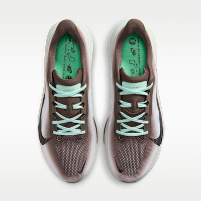 Shop Nike Pegasus 42 Ironstone/Verre de Mer/Vert Arctique/Noir IW2349-001