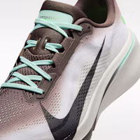 Sizing Nike Pegasus 42 鐵石灰/海玻璃綠/極地綠/黑色 IW2349-001