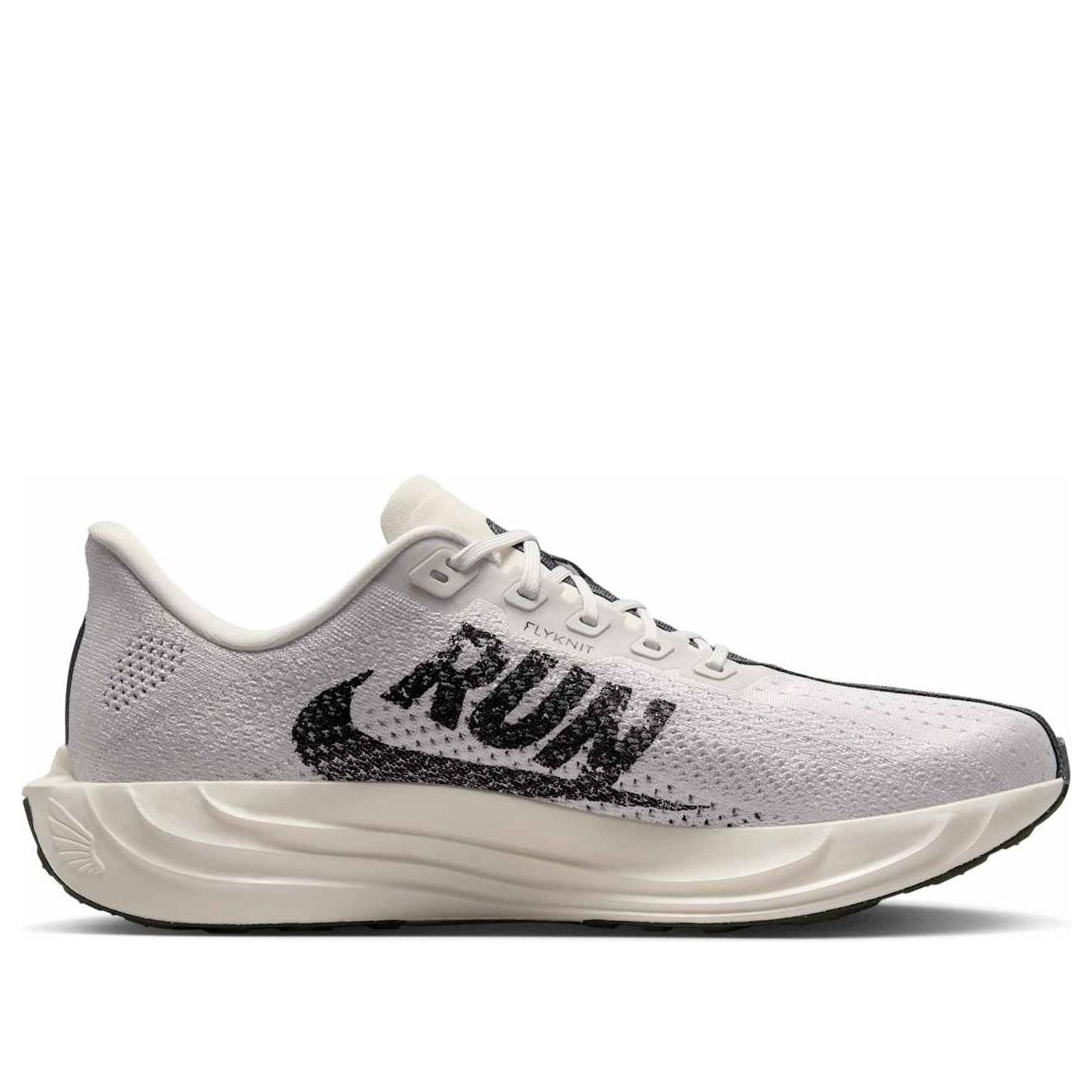 Details for ナイキ ペガサス プラス 'プラチナティント アンスラサイト' IB5695-001