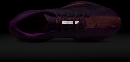 Nike Pegasus Plus 'Ungu Cerah Hitam' FQ7262-500 1