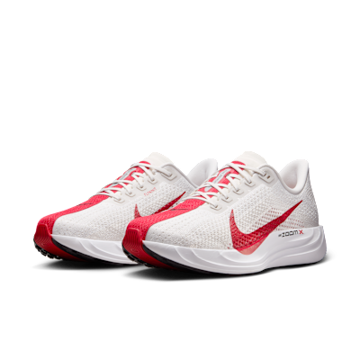 Details for Nike Pegasus Plus Scarpe Running FQ7262-003