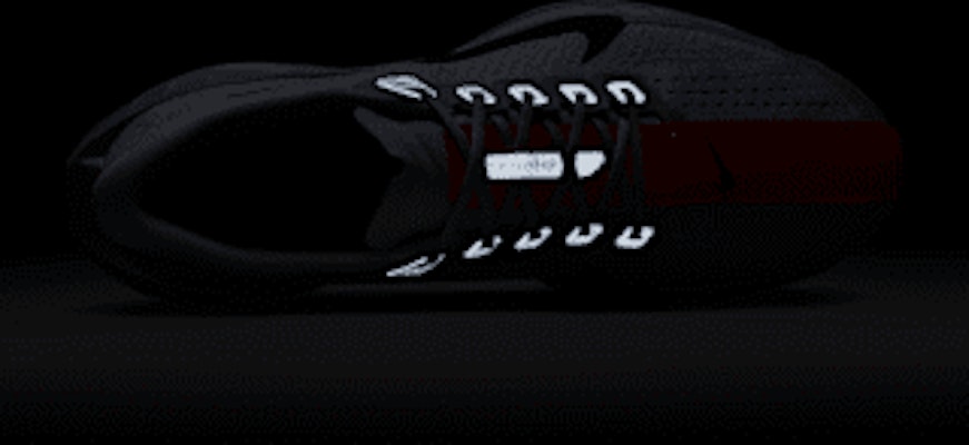 Nike Pegasus Plus FQ7262-006 1
