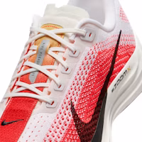 Sizing Nike Pegasus Plus 白/亮紅/黃金藍寶石/黑 FQ7262-103