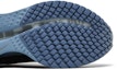 Purchase Nike Pegasus Premium 'Anthracite' HQ2592-006