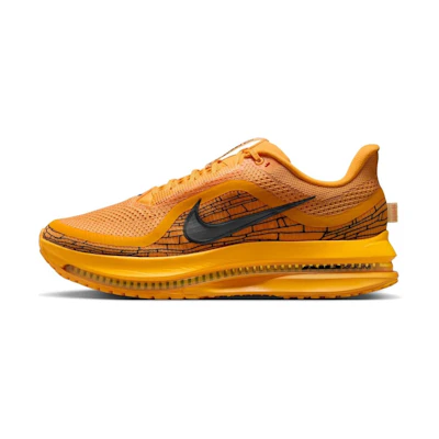 Nike Pegasus PRM 'Modern Mayfly Pack'