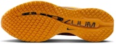 Details for Nike Pegasus Premium 'Modern Mayfly Pack' IH3256-700