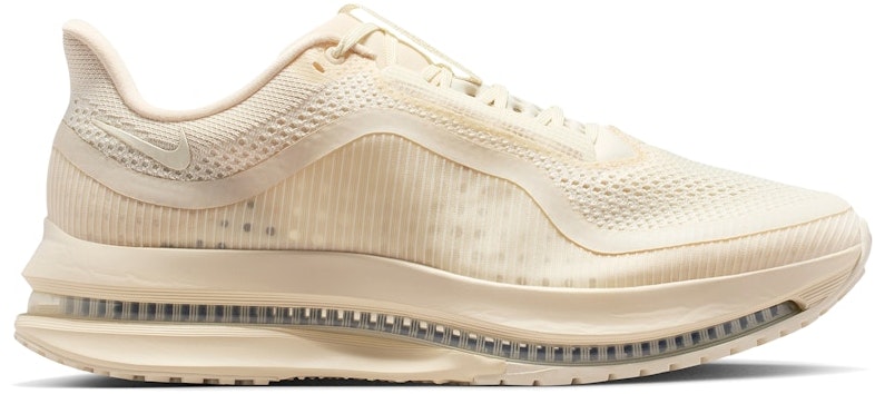 nike-pegasus-premium-natural-iq-5691-100