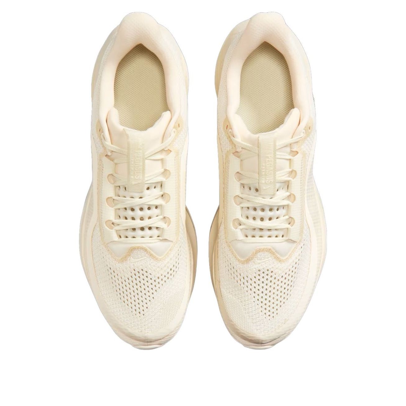 Order 나이키 페가수스 프리미엄 ''내추럴'' IQ5691-100